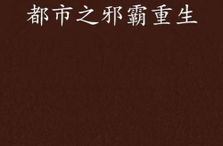 邪霸都市,权谋巅峰，风云际会