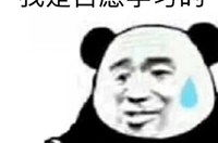 一看就很厉害的头像,打造个性鲜明、吸睛夺目的视觉符号