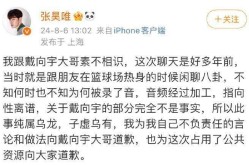 从“嫖娼瓜”到“录音风波”：张昊唯的无奈回应2025年6月23日