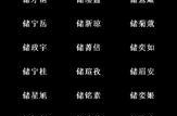 2023年最旺的网名,潮流风向标下的个性选择